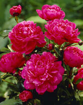 Без бренда «2KMB-4036» в Уфе