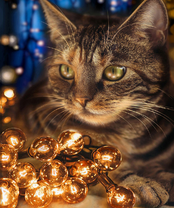 Без бренда «2KXSB-0678» в Уфе