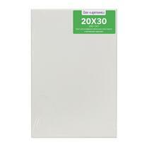 Без бренда «Коробка 80 шт.: Холст Две картинки на подрамнике 20X30» в Уфе