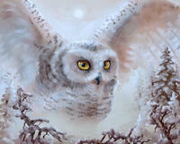 Без бренда «Полярная сова над лесом (20шт)» в Уфе