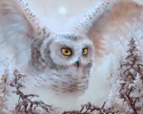 Без бренда «Полярная сова над лесом (20шт)» в Уфе