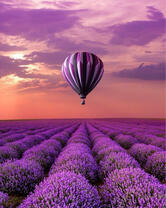 Без бренда «Фиолетовый воздушный шар над фиолетовым лавандовым полем (20шт)» в Уфе