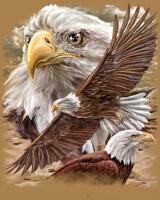 Без бренда «Коробка 20 шт: Орёл крупным планом» в Уфе