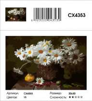 CX4353