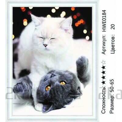 Алмазная вышивка 50х65 Игры двух милых котиков