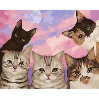 Без бренда «Такие разные котики» в Уфе