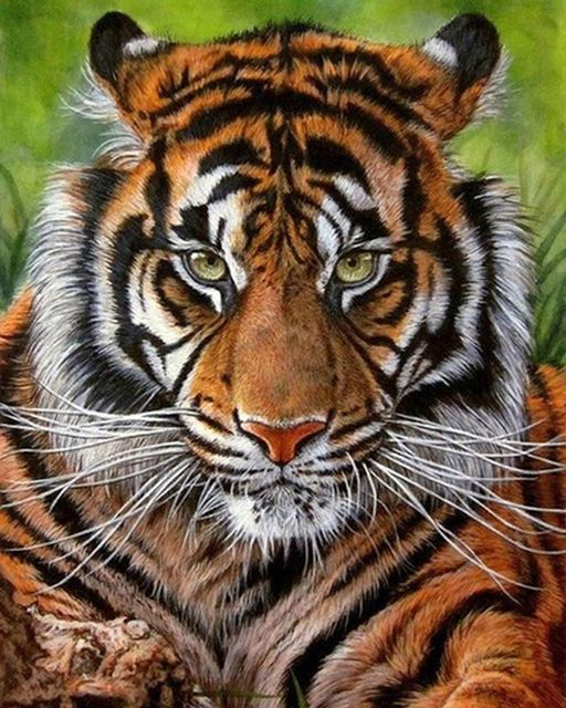 Алмазная мозаика 40x50 Огромный грозный тигр