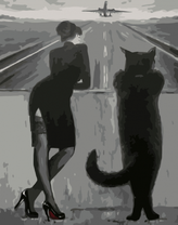 Стюардесса и черный кот