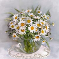 Без бренда «Букет свежих ромашек» в Уфе в интернет-магазине  Без бренда «Букет свежих ромашек» в Уфе