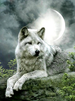 Без бренда «Коробка 25 шт. картин по номерам BOX25-GX21058» в Уфе