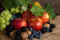 Коробка 25 шт. картин по номерам BOX25-GX25333