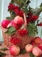 Без бренда «Коробка 25 шт. картин по номерам BOX25-GX5174» в Уфе