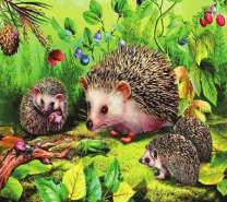 Ежиная семья в лесной чаще