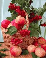 Без бренда «Плетёная корзина с калиной и яблоками» в Уфе