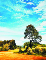 Без бренда «Осенний пейзаж с голубым небом» в Уфе в интернет-магазине  Без бренда «Осенний пейзаж с голубым небом» в Уфе