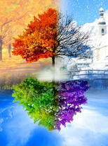 Дерево у озера в четырех временах года