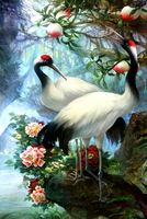 Без бренда «Коробка 25 шт. картин по номерам BOX25-GX29399» в Уфе