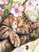 Без бренда «Волосатый котик спит на ветви яблони» в Уфе в интернет-магазине  Без бренда «Волосатый котик спит на ветви яблони» в Уфе